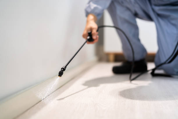 Licensed Mosquito Control service in Wauna, WA - Show Me Pest Control