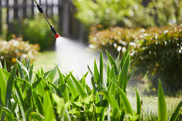 24/7 Emergency Mosquito Control experts in Wauna, WA