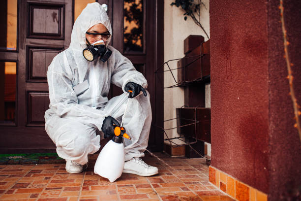 Reliable Mosquito Control contractor in Wauna, WA by Show Me Pest Control